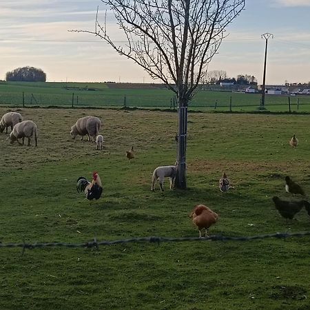 Gite Des 3 Marcassins Preaux Exteriér fotografie